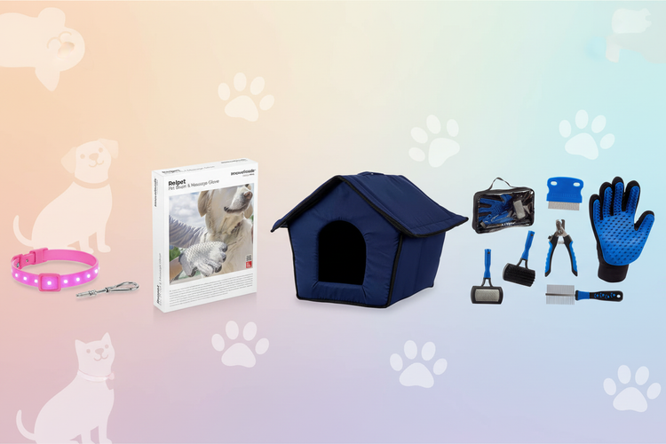 Pet Accessories