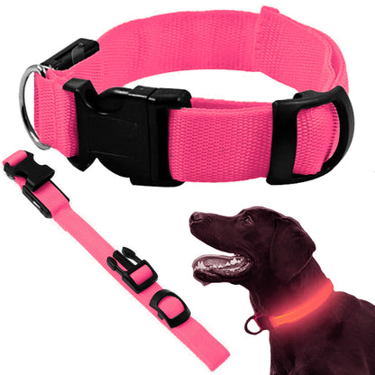 Collar de seguridad LED para mascotas (46-59 cm) – Pilas incluidas