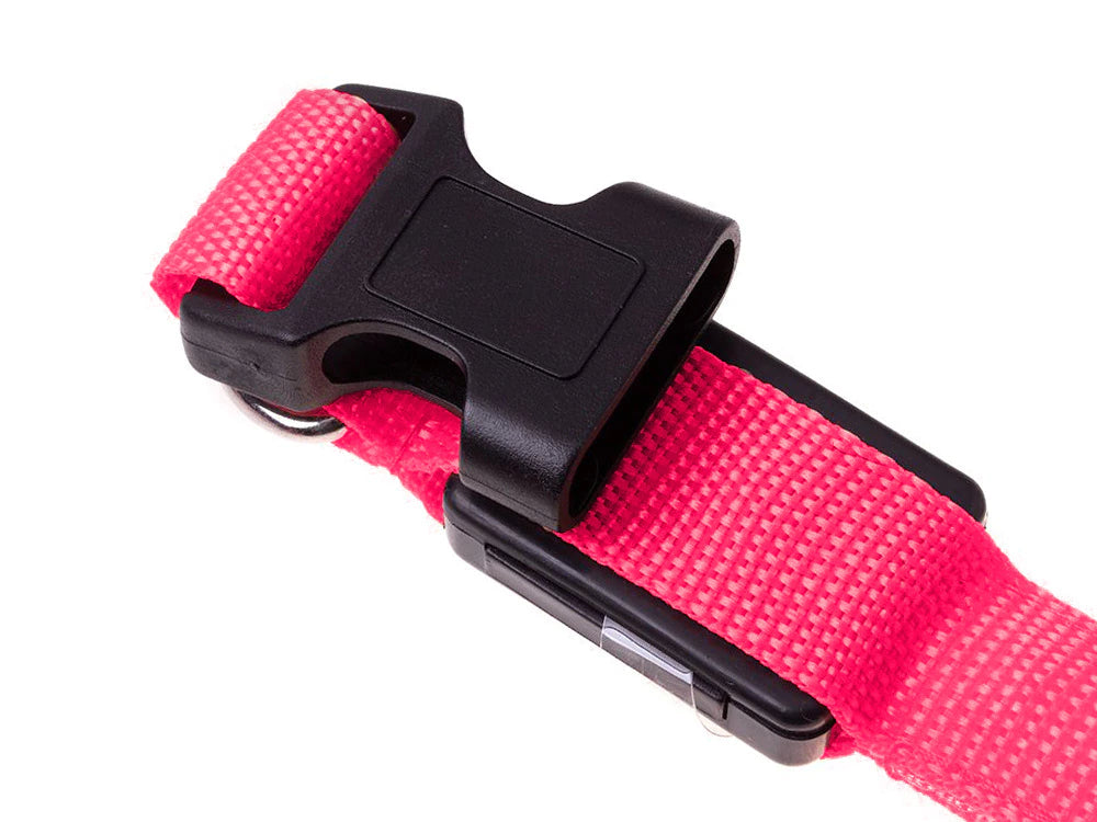 Collar de seguridad LED para mascotas (46-59 cm) – Pilas incluidas