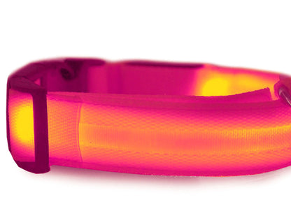Collar de seguridad LED para mascotas (46-59 cm) – Pilas incluidas