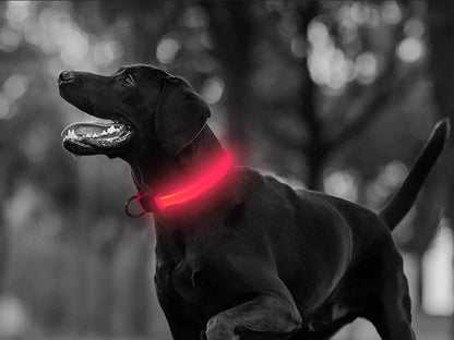 Collar de seguridad LED para mascotas (46-59 cm) – Pilas incluidas