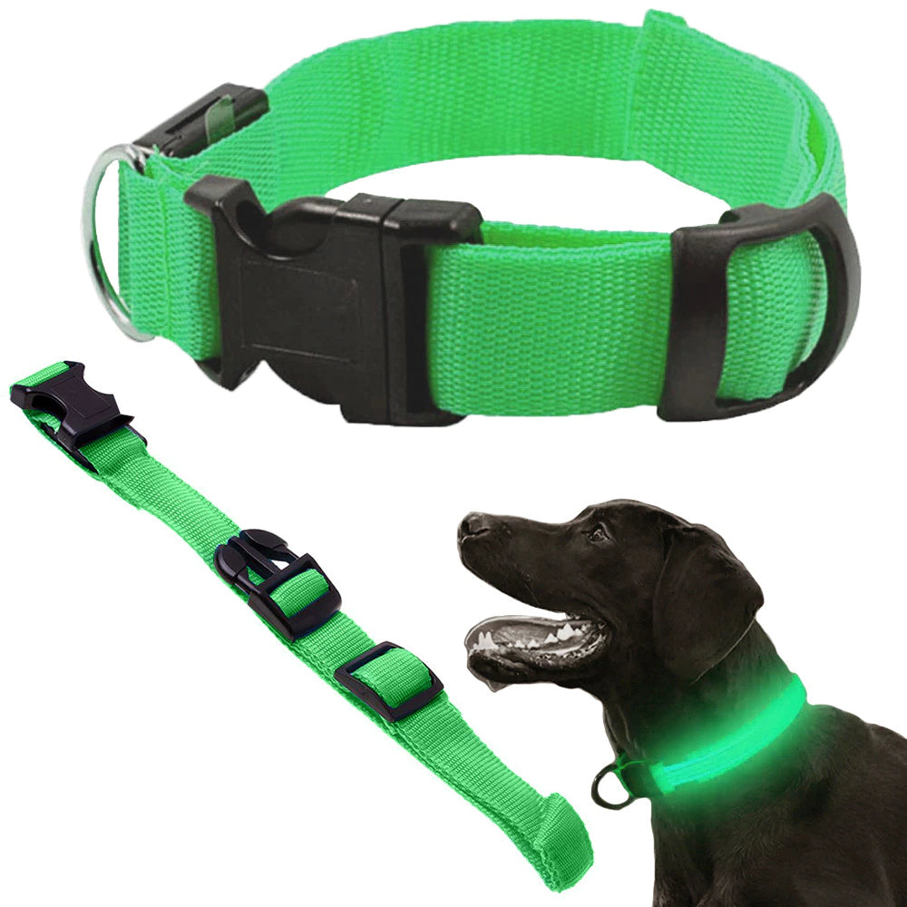 Collar de seguridad LED para mascotas (46-59 cm) – Pilas incluidas