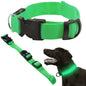 Collar de seguridad LED para mascotas (46-59 cm) – Pilas incluidas