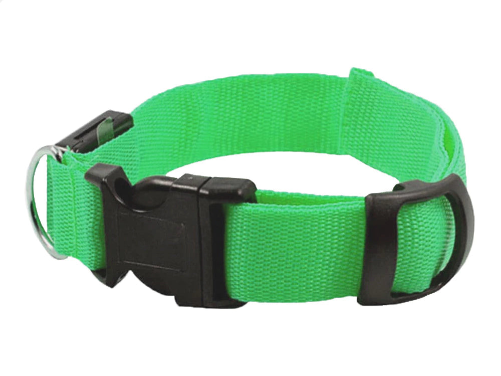 Collar de seguridad LED para mascotas (46-59 cm) – Pilas incluidas