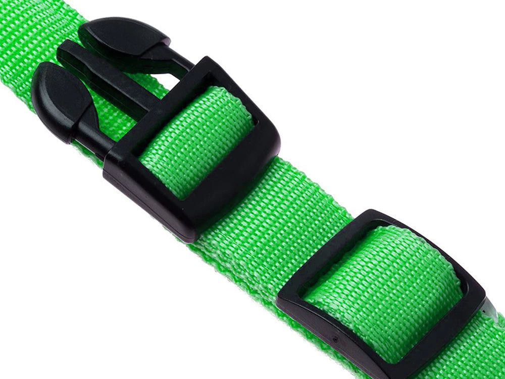 Collar de seguridad LED para mascotas (46-59 cm) – Pilas incluidas