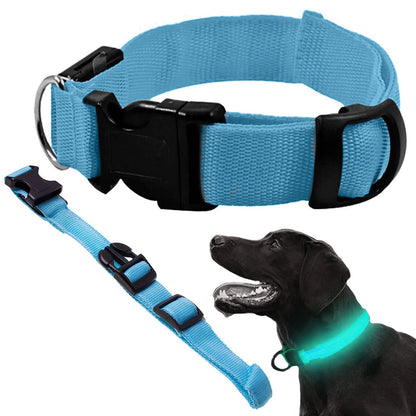 Collar de seguridad LED para mascotas (46-59 cm) – Pilas incluidas